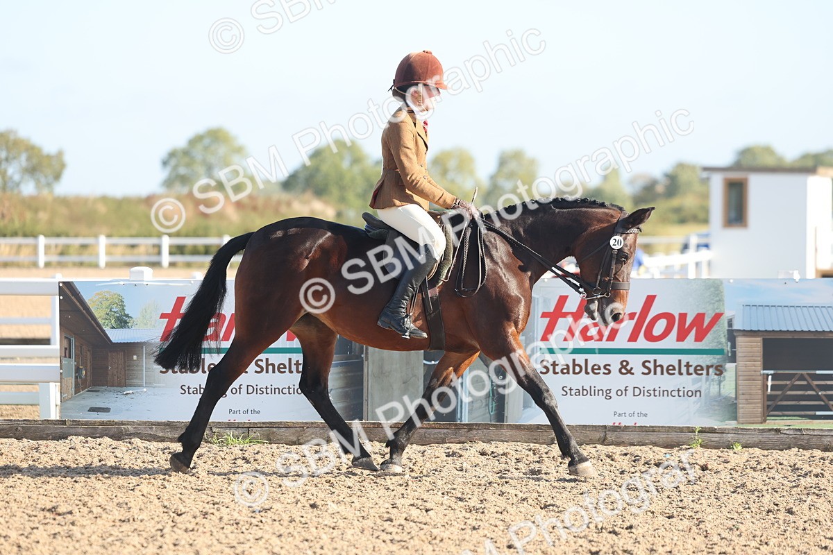 SBM_22116 - Class 801 - Ridden Veterans