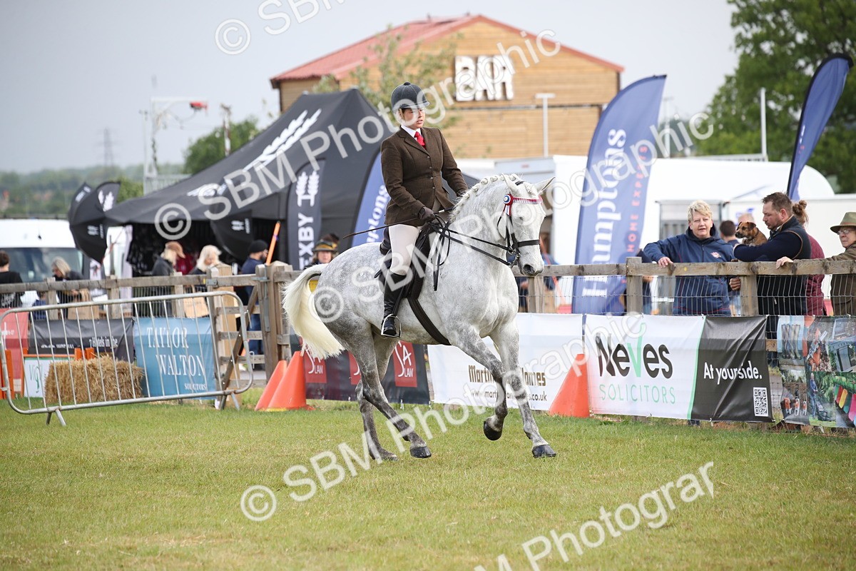 SBM_11508 - Class 95-96 - LIHS BSHA Rising Star Hack Riding Horse