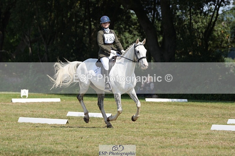 250823A-133014-31048 - Arena B