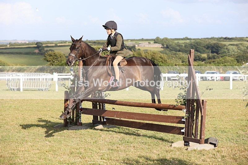 JPP_3261 - Class 21: Working Hunter 80cm