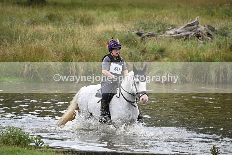 WJ7_2673 - Time at Water 11:37 to 12:13
