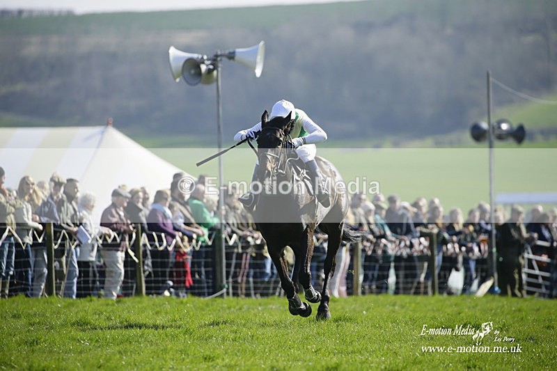PtP 190322 514 - Wilton Hunt PtP Milborne St Andrew 19/03/22