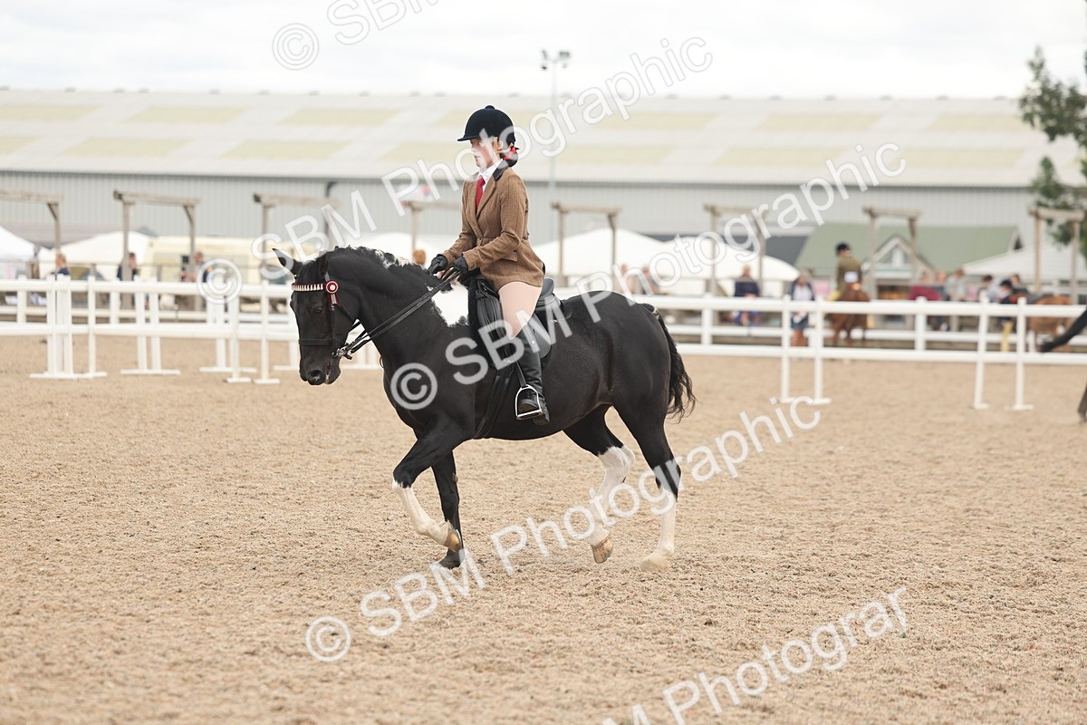 SBM_18137 - Class 315 - Best Horse-Rider Combination