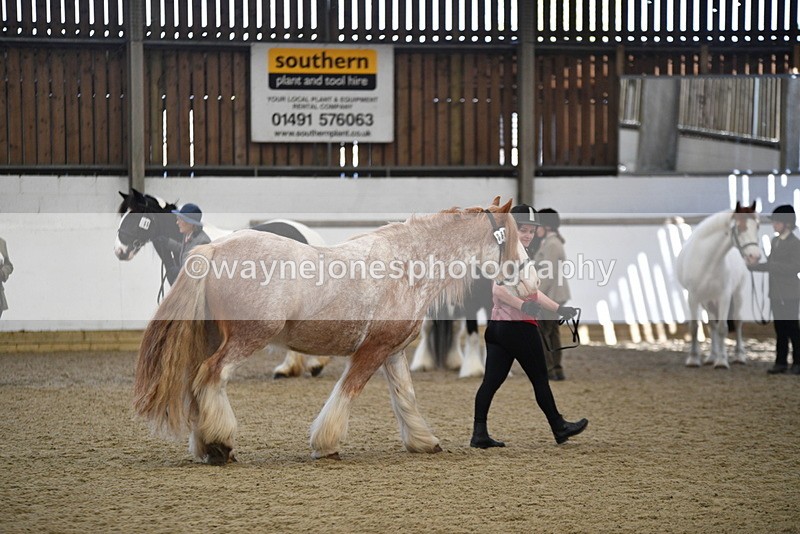 WJ5_4755 - Class 7 In hand coloured / odd coloured