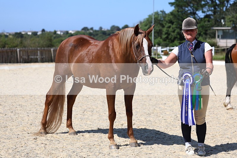 3E7A9966 - In Hand Championship