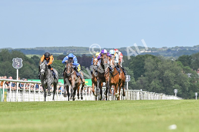 080624-Race 5-Ludos Landing-7420 - Race 5