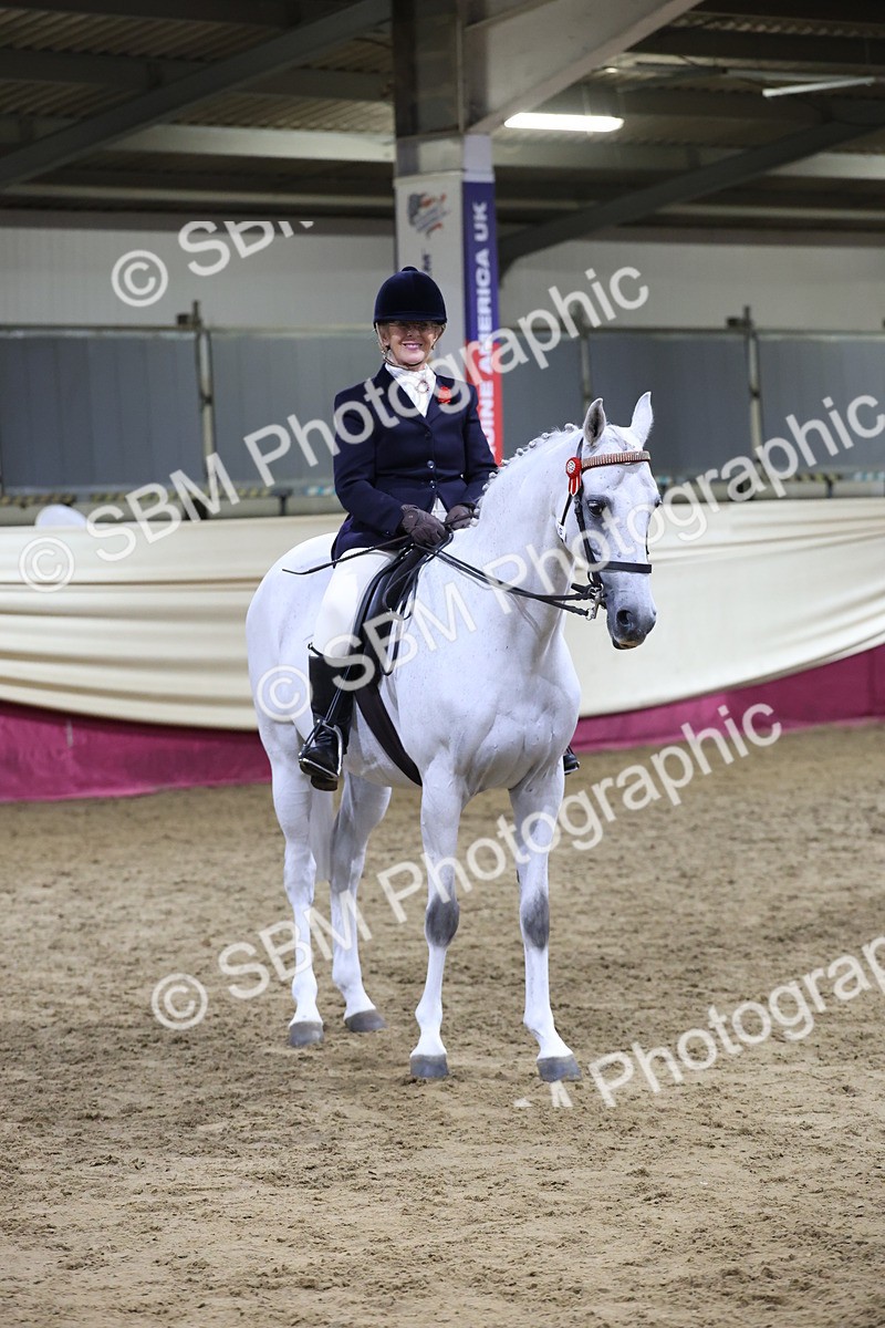 SBM_21181 - class Q - Ridden Horse Champ