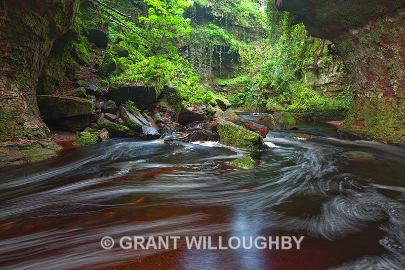  - Woods Trees Gorges and Waterfalls