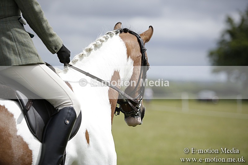 BVR160717-1912 - Ring 1 BVRC Show 16/07/17