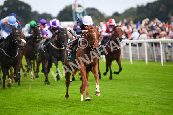240823-Race 2-Dragon Leader-0226 - Race 2 2.25pm Goffs UK Harry Beeby Premier Yearling Stakes
