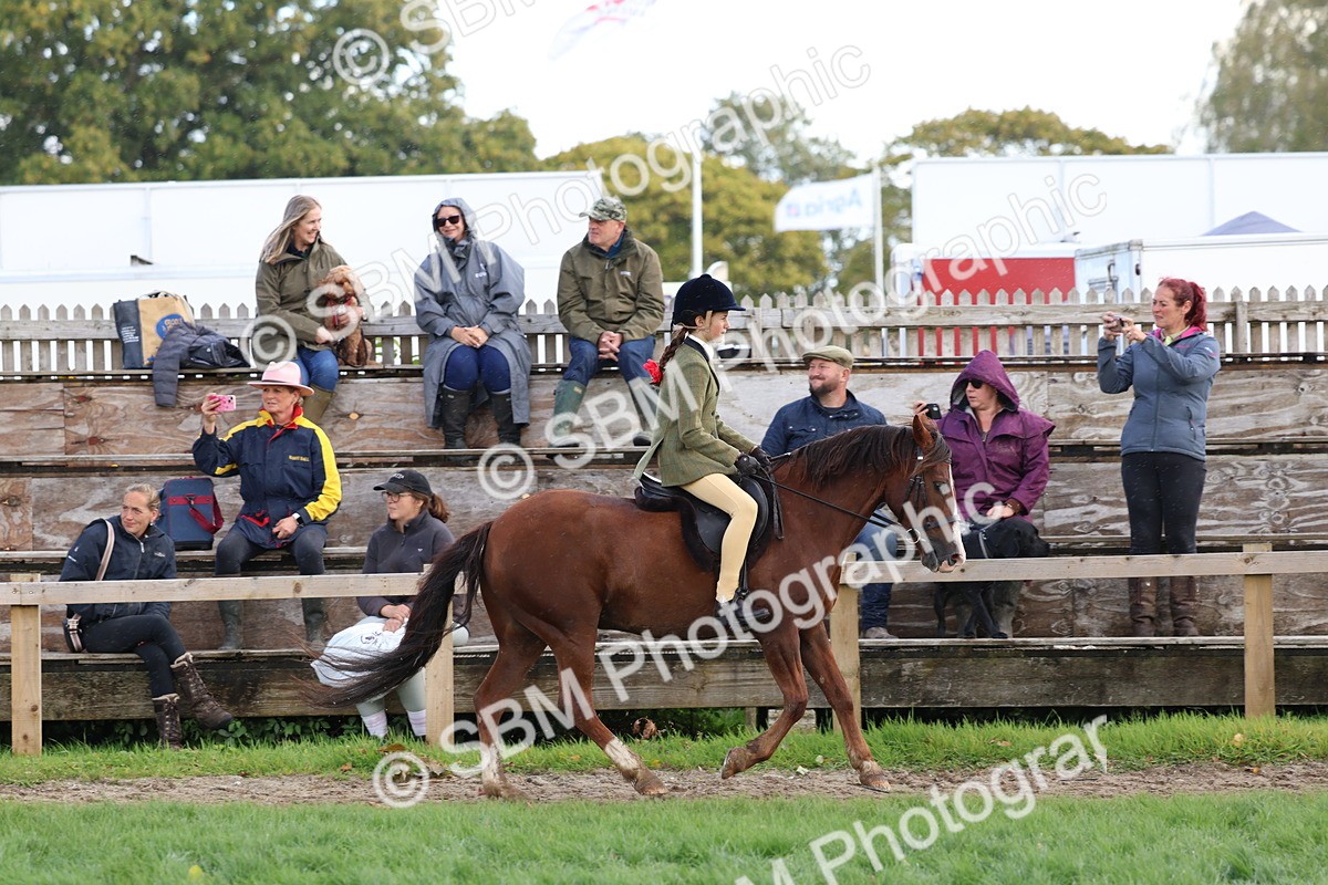 SBM_47662 - S28 - Veteran Ridden