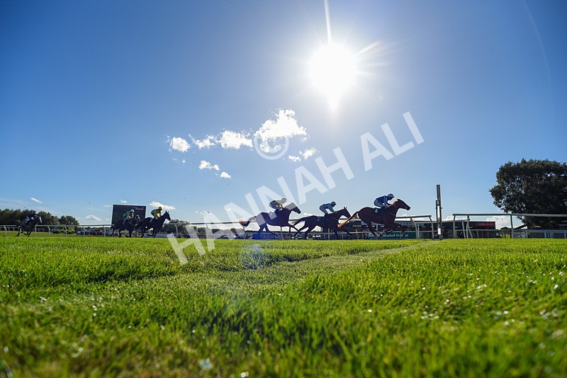 300926-Race 2-Gold Key-8101 - Race 2 2.32pm EBF Maiden Stakes