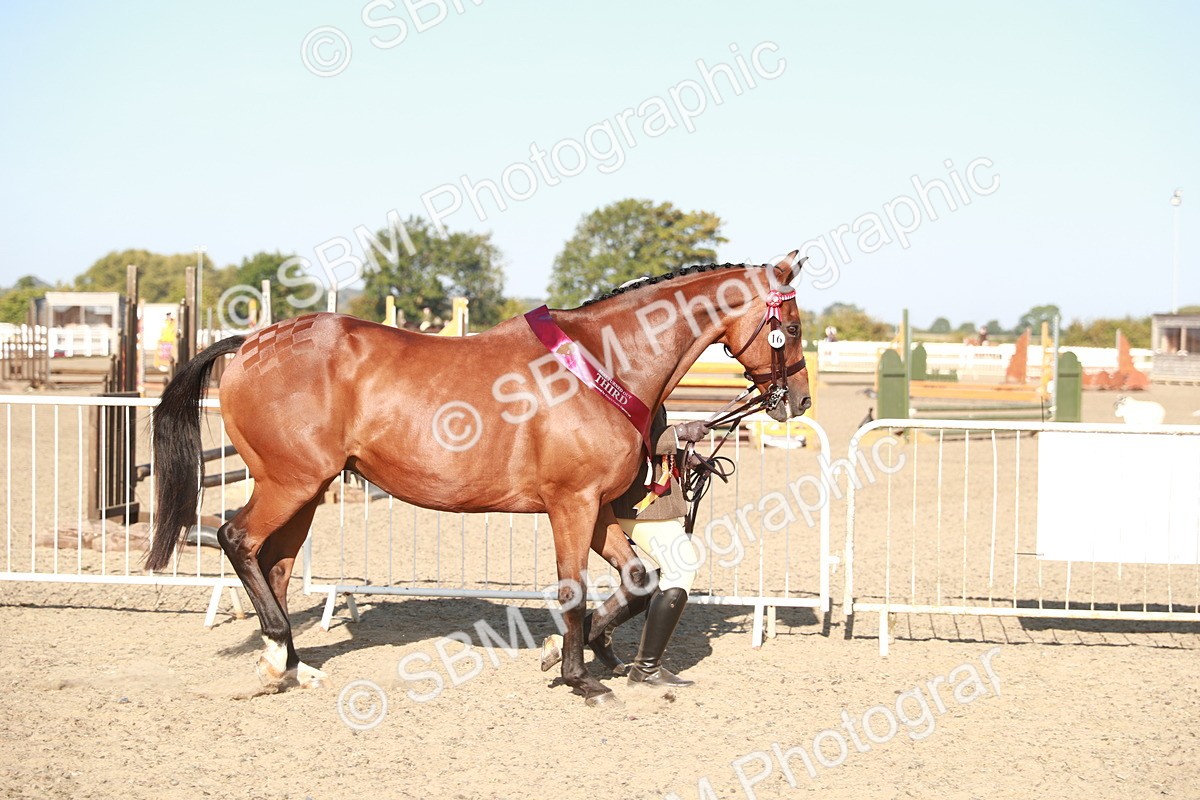 SBM_00170 - Class 40 Best Turned Out IH