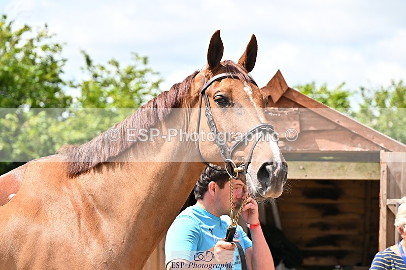 240718A-105302-01475 - Trot Up 12pm to 1pm
