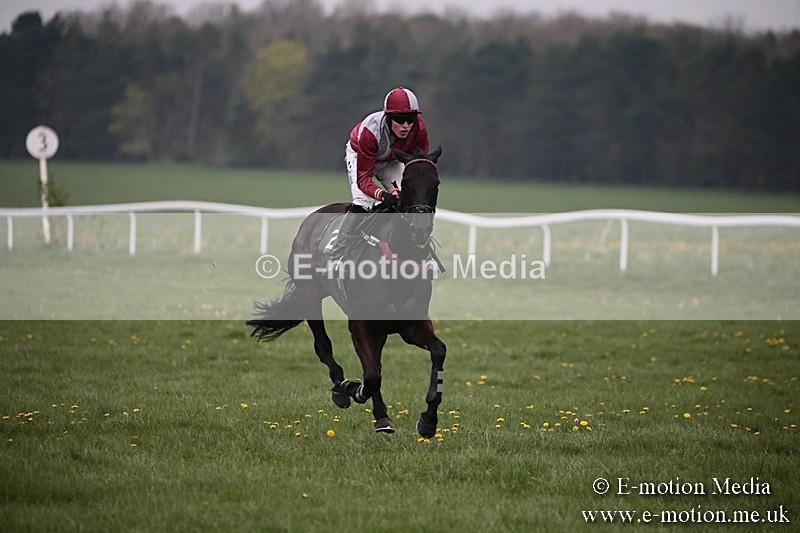 PtP 210418 70 - South & West Wilts Point-to-Point Larkhill 21/04/18