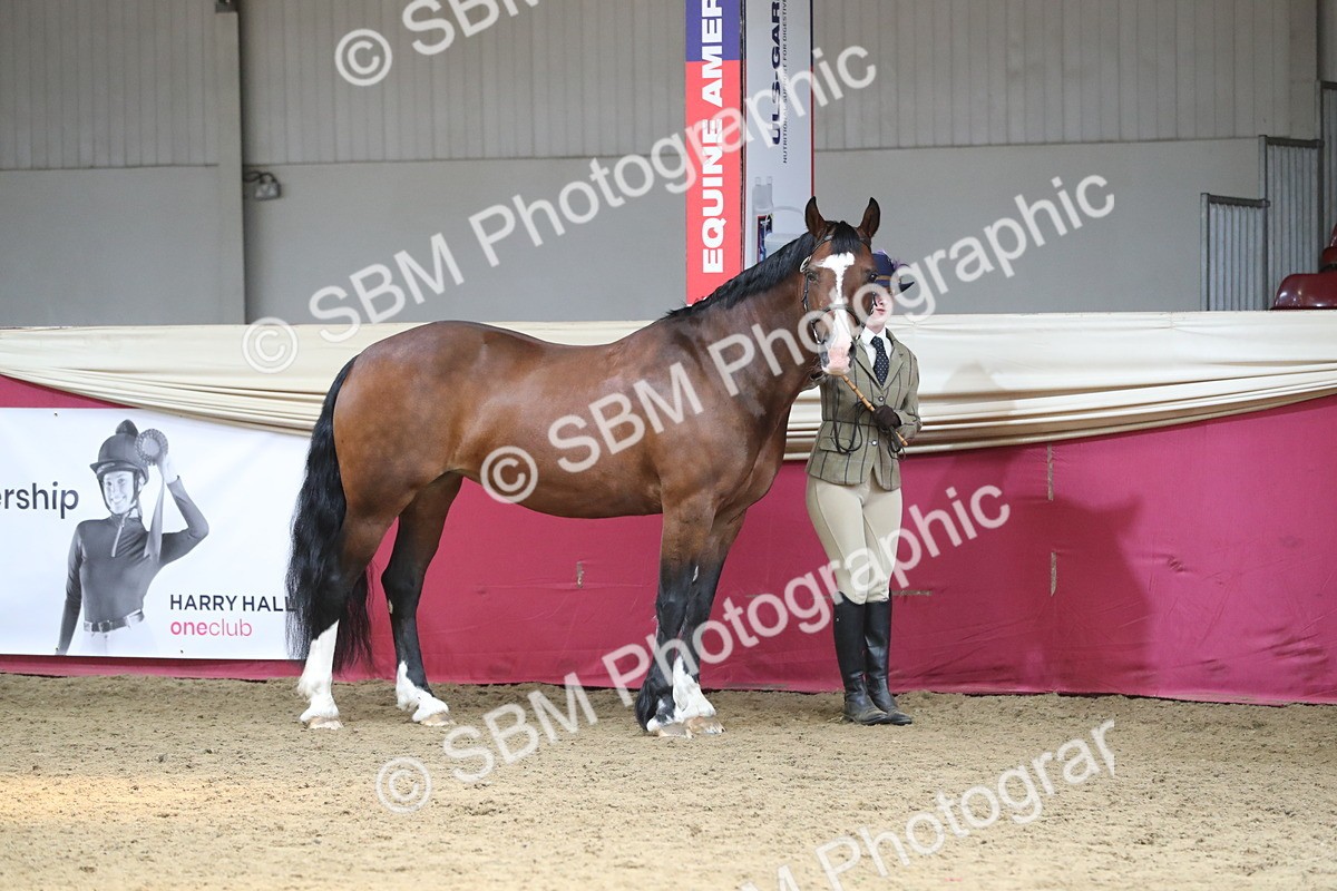 SBM_15114 - Class 501 M&M IH Supreme Final