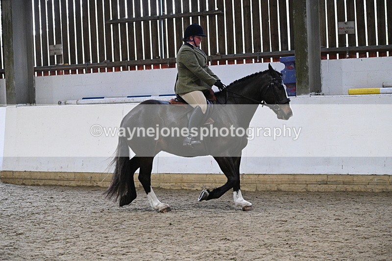 WJ7_3908 - Class 17 Ridden Cob