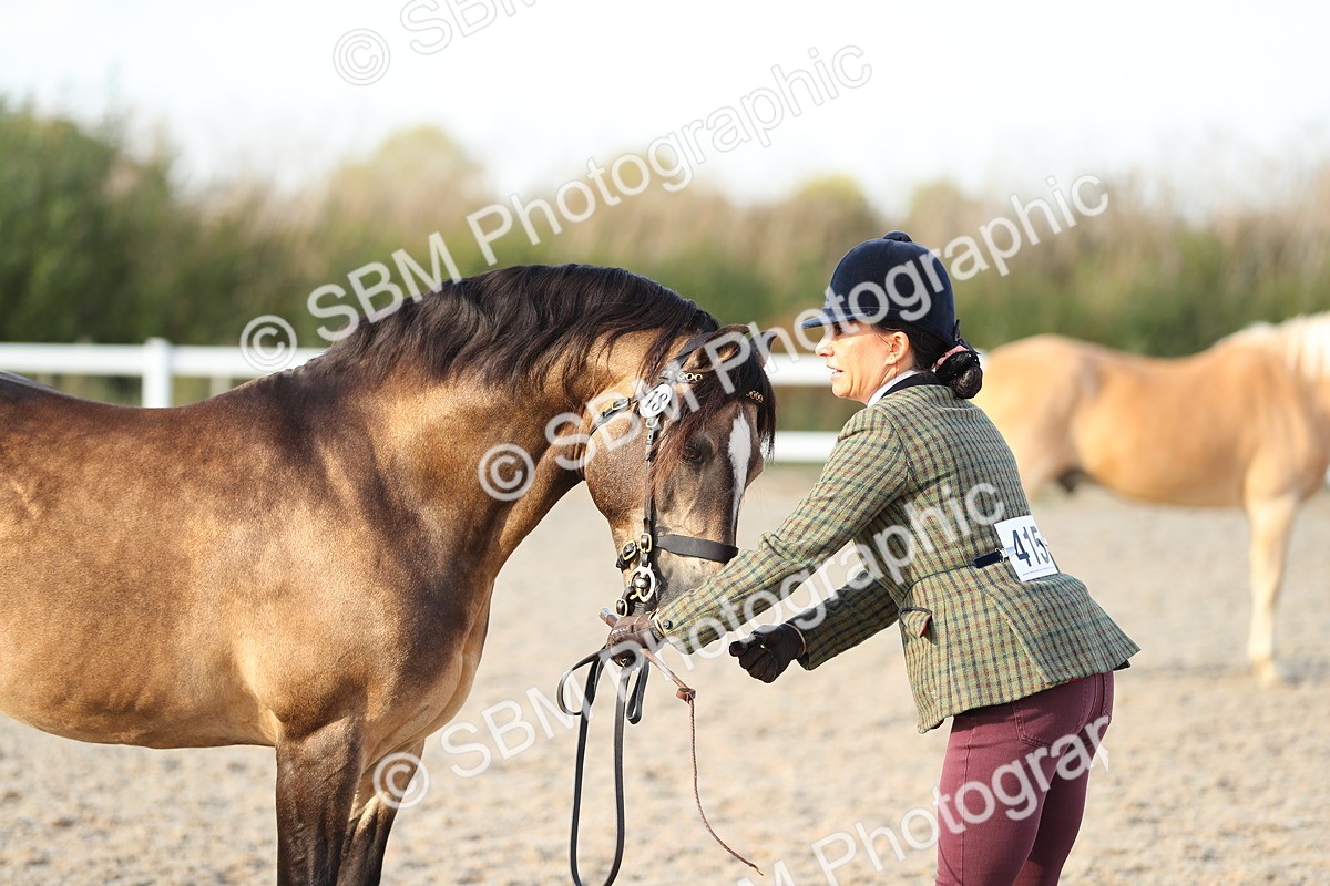 SBM_08946 - Class 29 IH Veteran Pony