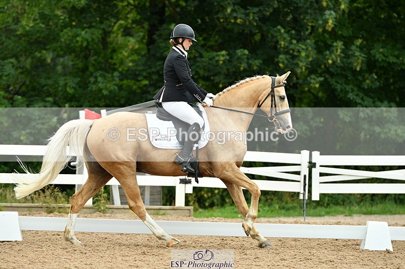 230701A-124143-05803 - Cls 7 Elementary 45