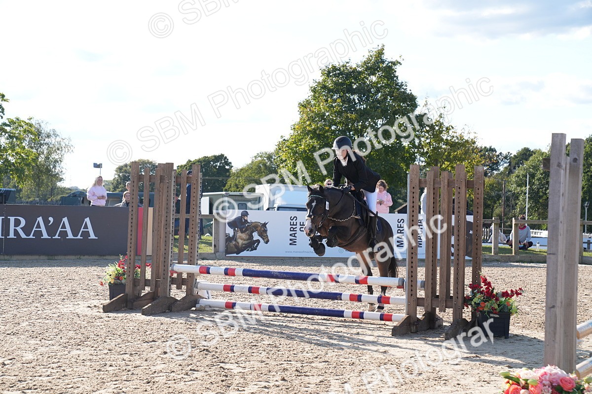 SBM_27943 - J43 - Super Speedy Scurry Open - 60cm