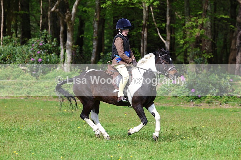 3E7A2718 - Working Hunter Championship