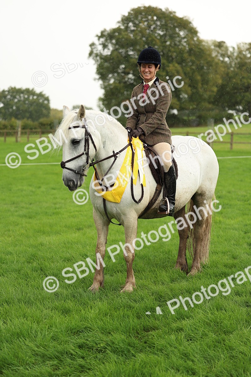 1I0A1507 - S32 - Mountain & Moorland Working Hunter Pony