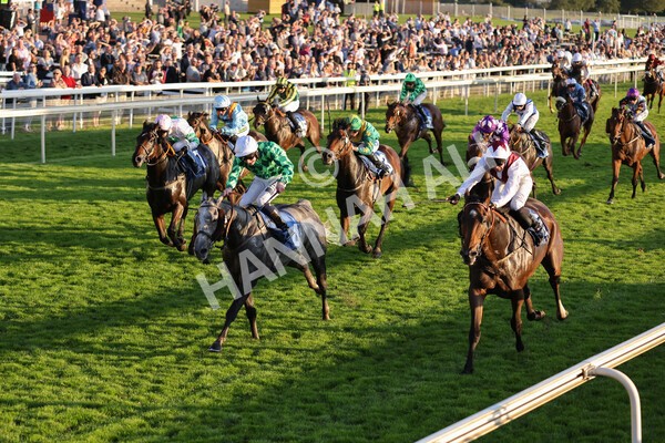 yr08102021r7-24 - Race 7 5.25pm The IRE Incentive, It Pays To Buy Irish Handicap