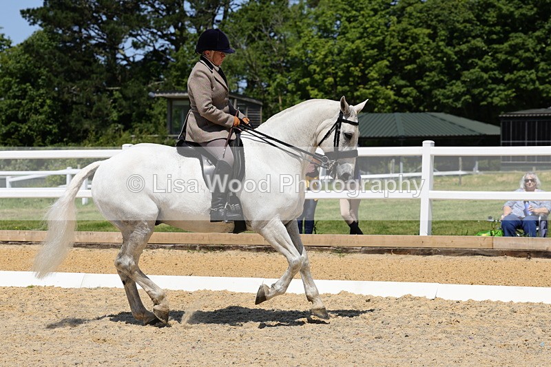 1X9A1706 - Class 11: Ridden Cob
