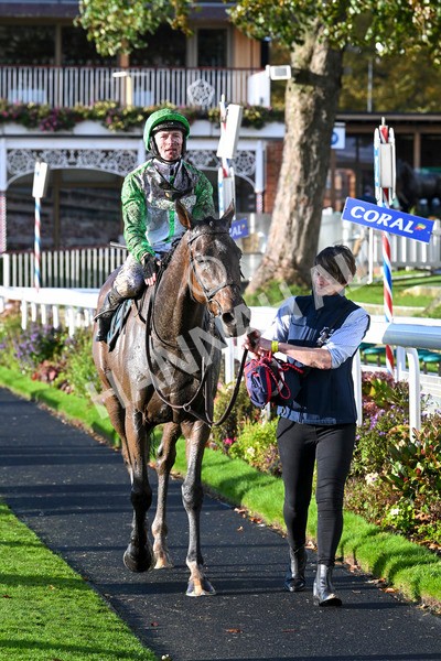 121024-Race 6-Gibside-3478 - Race 6 4.30pm Coral We're Here For It Stayers Handicap