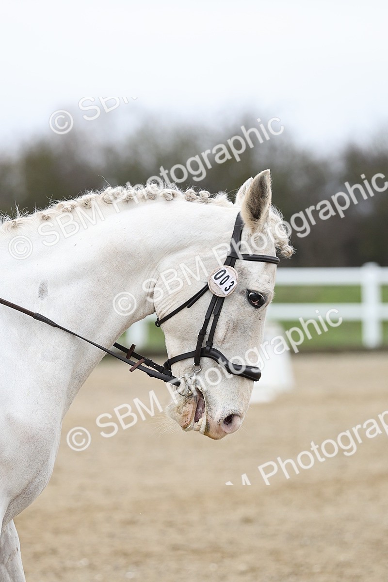 SBM_000981 - Prelim 1