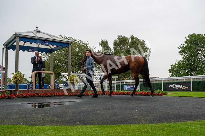 040725-Race 3-Orbaan-1469 - Race 3