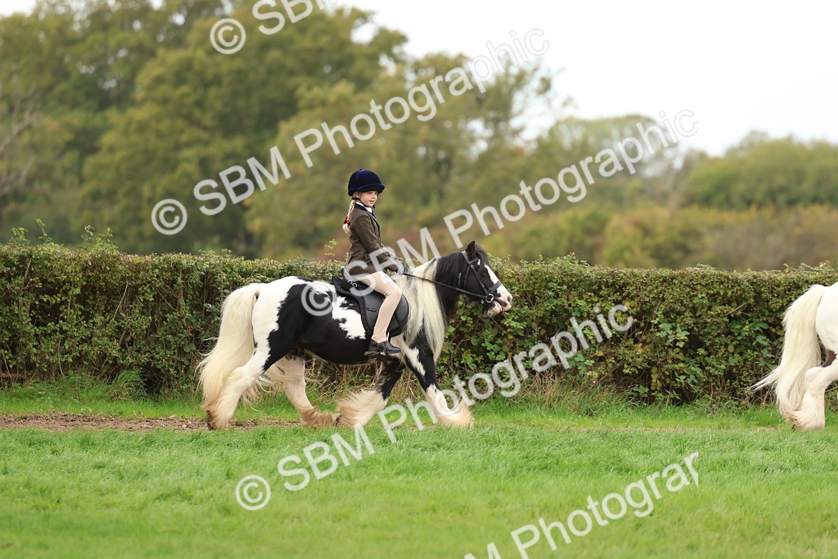 SBM_64684 - S58 - Coloured Pony Ridden