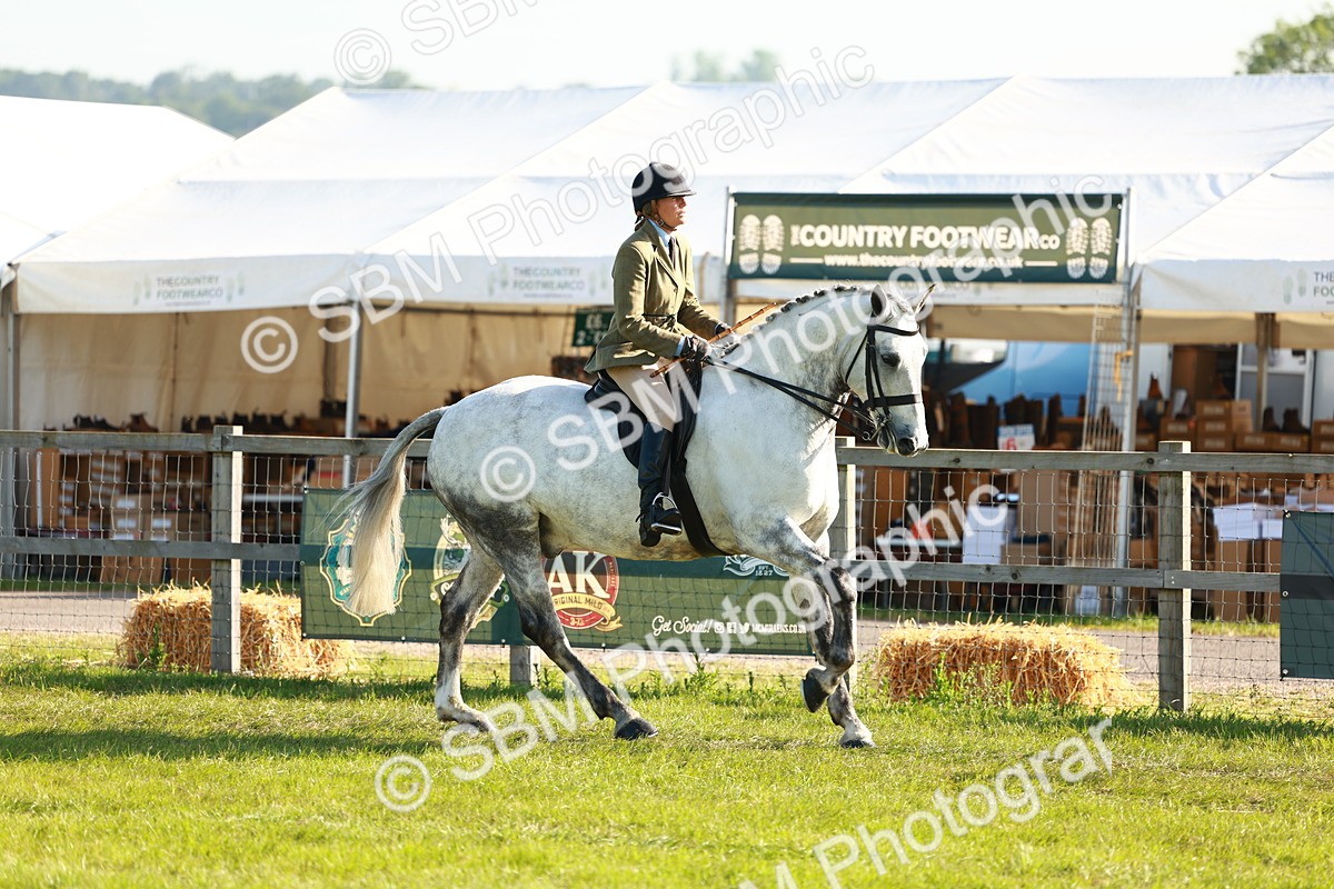 SBM_10737 - Class 66-69 - RIHS Ridden Hunters Inc Small Hunter