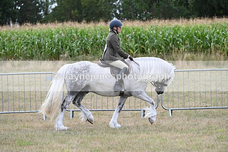 WJ7_5269 - Class 12 Ridden Cob