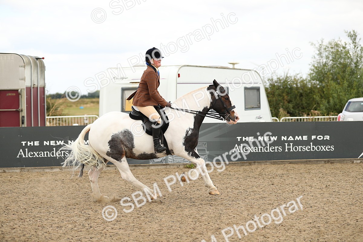 SBM_05213 - Class 47b Style & Performance 60cm (20+)