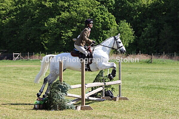 IMG_4485 - Working Hunter