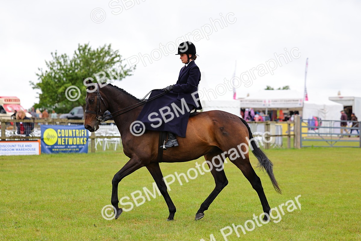 SBM_02731 - Class 9-11 Side Saddle including LIHS Rising Star Ladies Show Horse