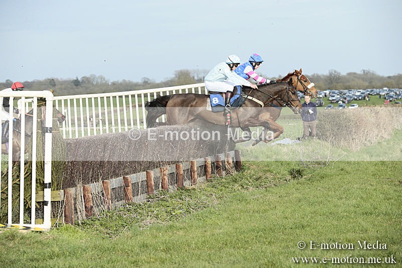 PtP 230319 473 - VWH Hunt Siddington Point-to-Point Racing 23/03/19