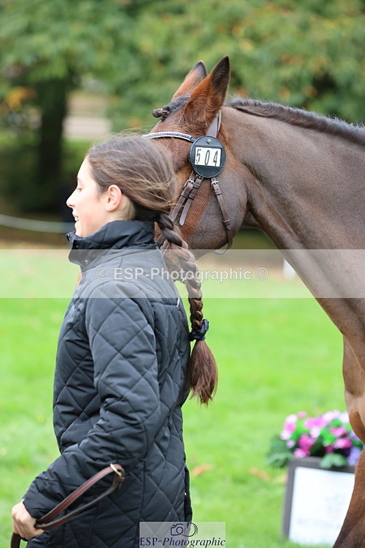 251026A-110856-25261 - G-504-Eliza.Langman-Rouse