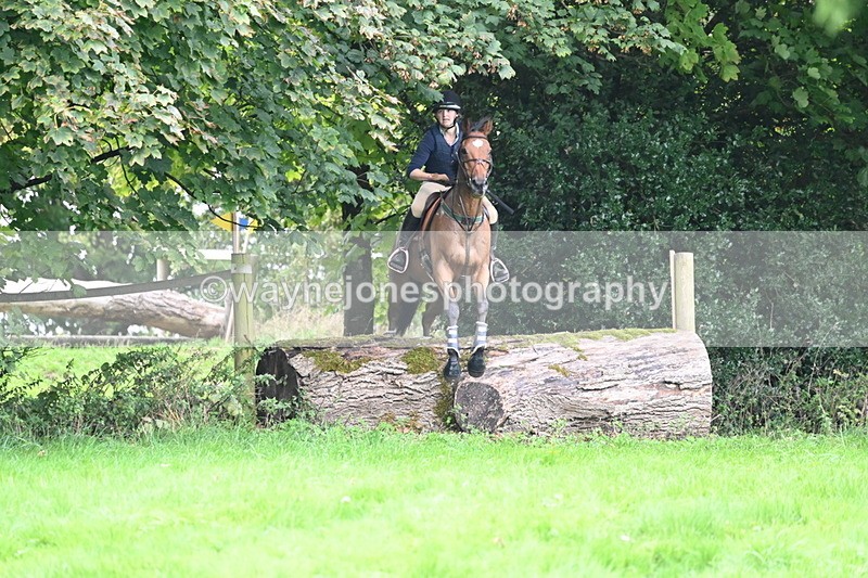 WJ6_1805 - Time 13:13 to 13:29