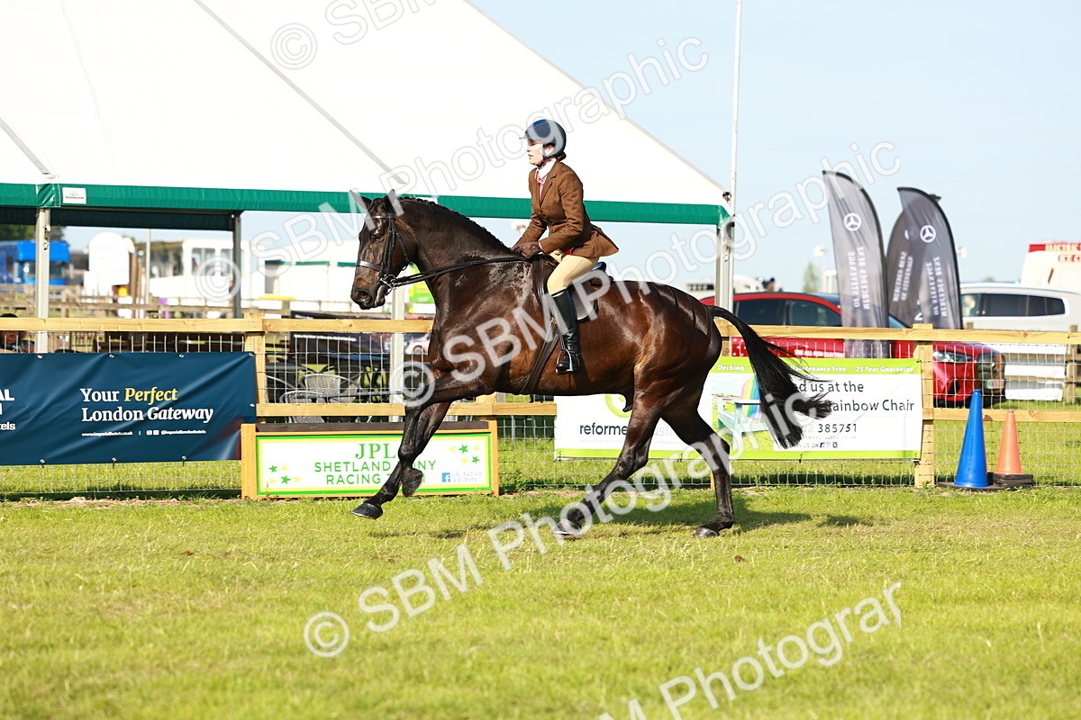 SBM_10919 - Class 66-69 - RIHS Ridden Hunters Inc Small Hunter