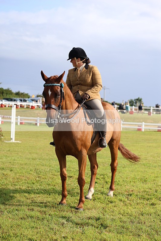 3E7A8208 - Class 2: Rising Star Large Hack/Riding Horse