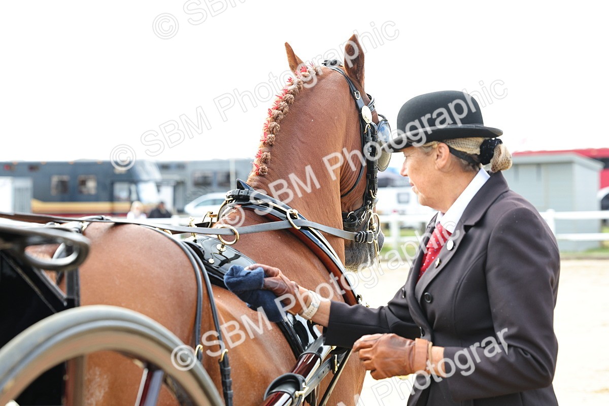 SBM_000471 - Class 4 - Junior Whip