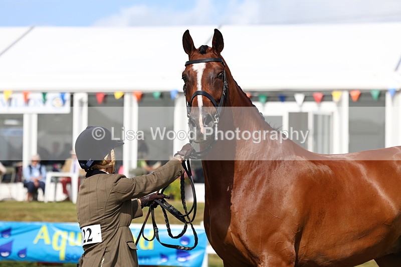 3E7A9554 - Class 4: Rising Star M/H Hunter