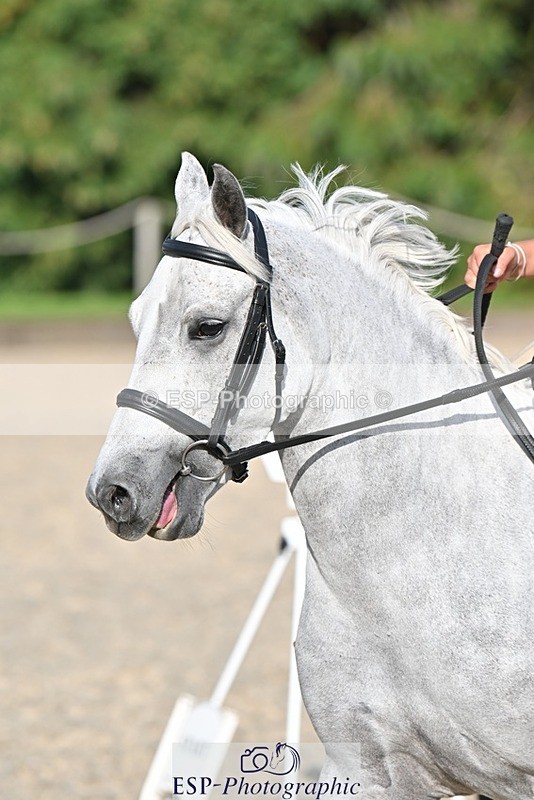 230909-163153-07049 - Cls 19 Club 70cm