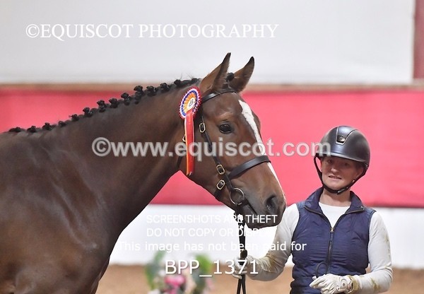 BPP_1371 - MORNING 9AM - 12PM