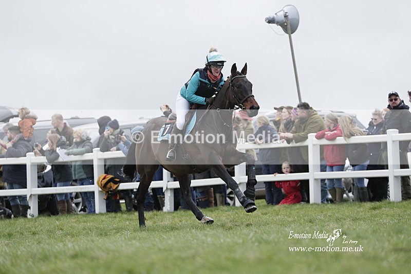 PtP 260323 0195 - New Forest Hounds Point-to-Point Larkhill 26/03/23