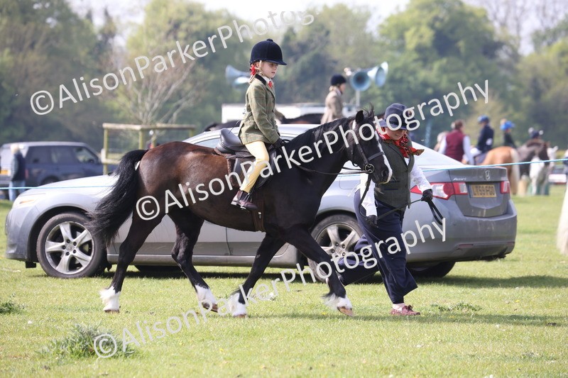 20260426-2500 - Class 31 - Leading Rein