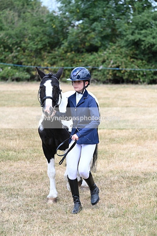 WJ7_1687 - Class 4 Prettiest Mare up to 14.2hh in hand