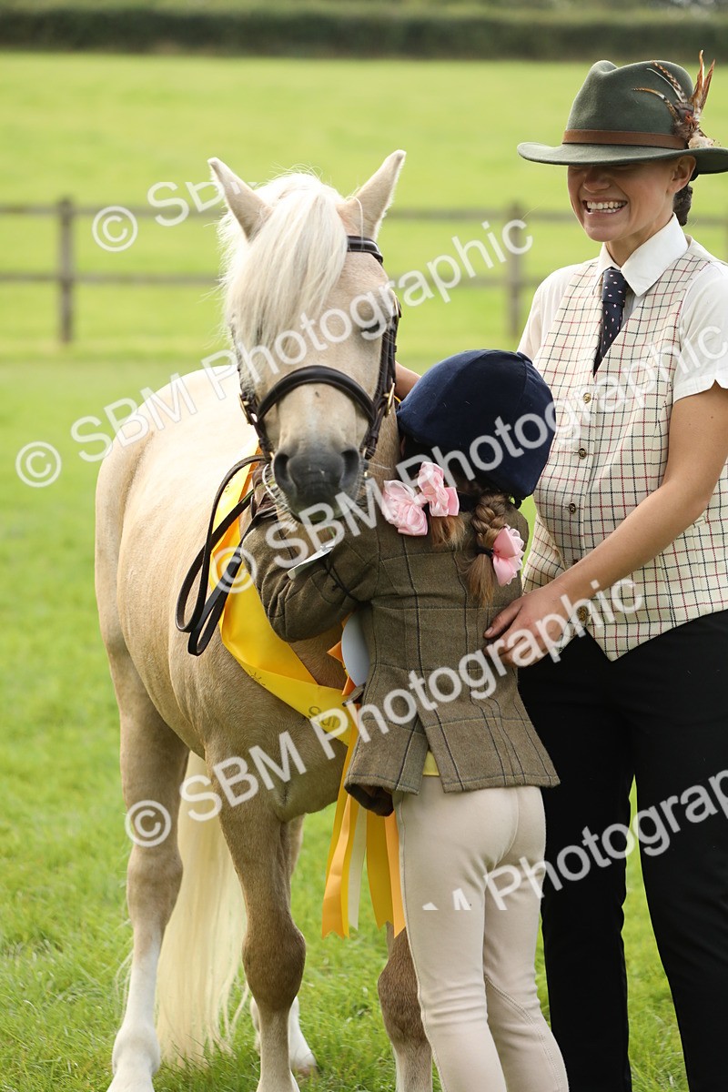 SBM_62845 - S46 - Mountain & Moorland In Hand Small Breeds